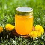 Mom's Dandelion Jelly (Spring Foraging) 96 Moms-Dandelion-Jelly-Spring-Foraging-Recipe