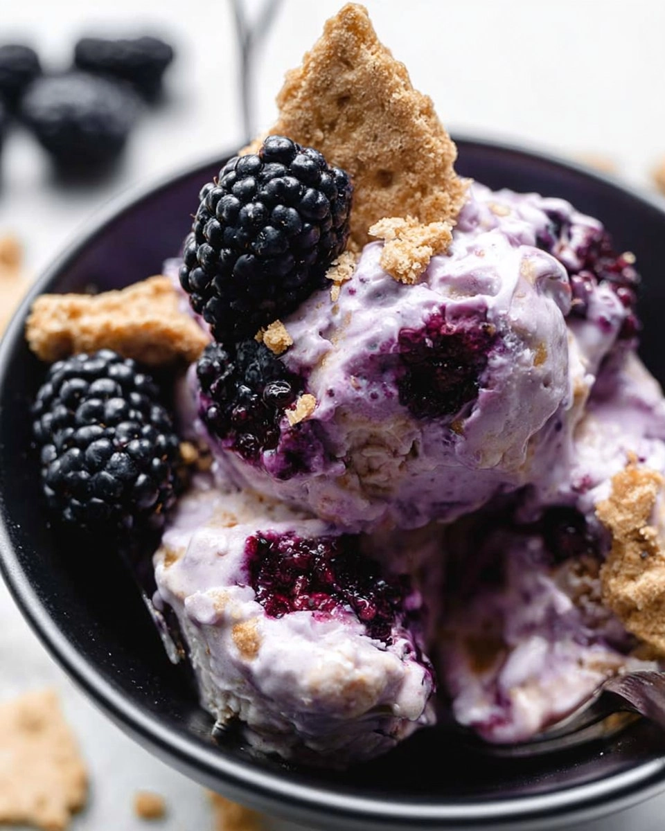 Blackberry Cheesecake Cottage Cheese Ice Cream 1 Blackberry-Cheesecake-Cottage-Cheese-Ice-Cream-Recipe
